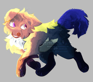 Boardered pfp Boardered pfp